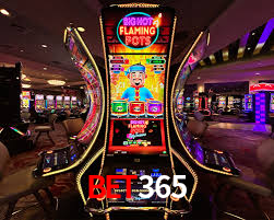 A Experiência Imersiva dos Cassinos Ao Vivo no bet365